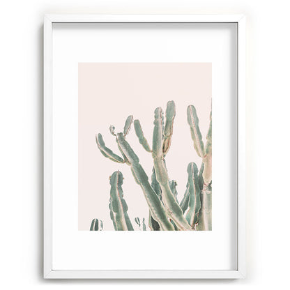 Sunrise Cactus Framed Art Print Gallery Image 78