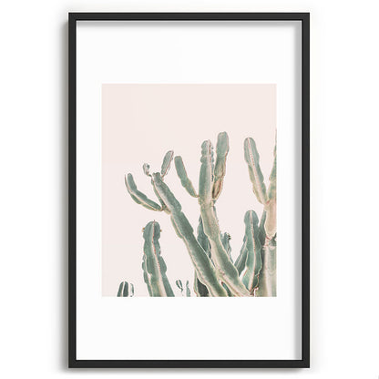 Sunrise Cactus Framed Art Print Gallery Image 62