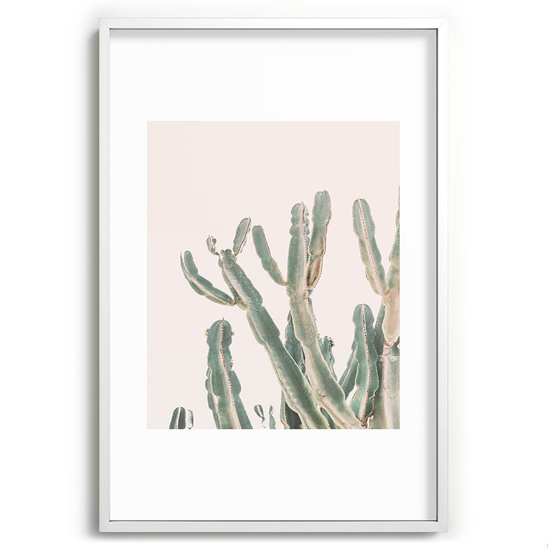 Sunrise Cactus Framed Art Print Gallery Image 80