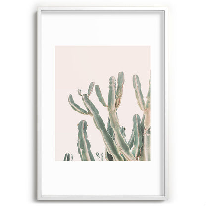 Sunrise Cactus Framed Art Print Gallery Image 80