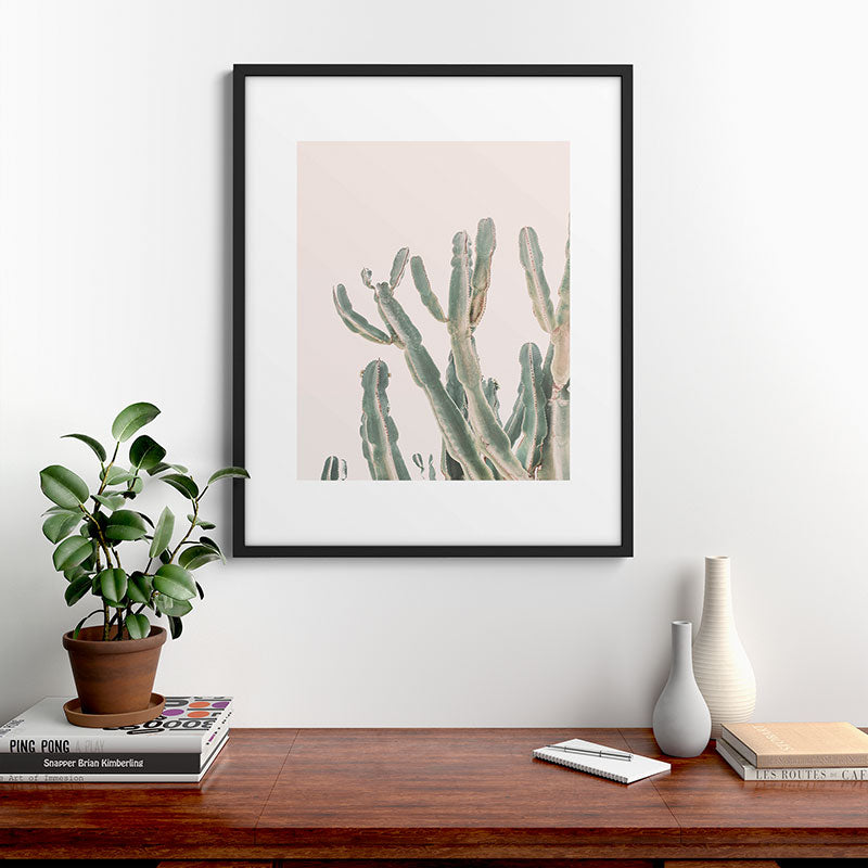 Sunrise Cactus Framed Art Print Gallery Image 7