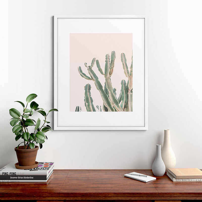 Sunrise Cactus Framed Art Print Gallery Image 56
