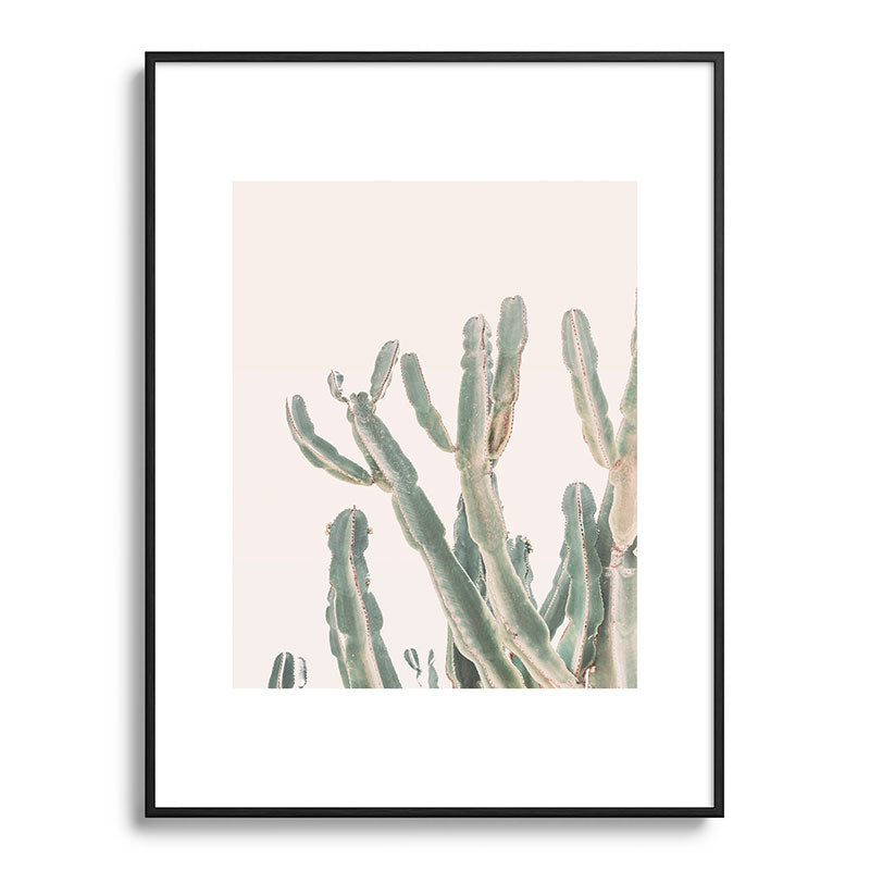 Sunrise Cactus Framed Art Print Gallery Image 84