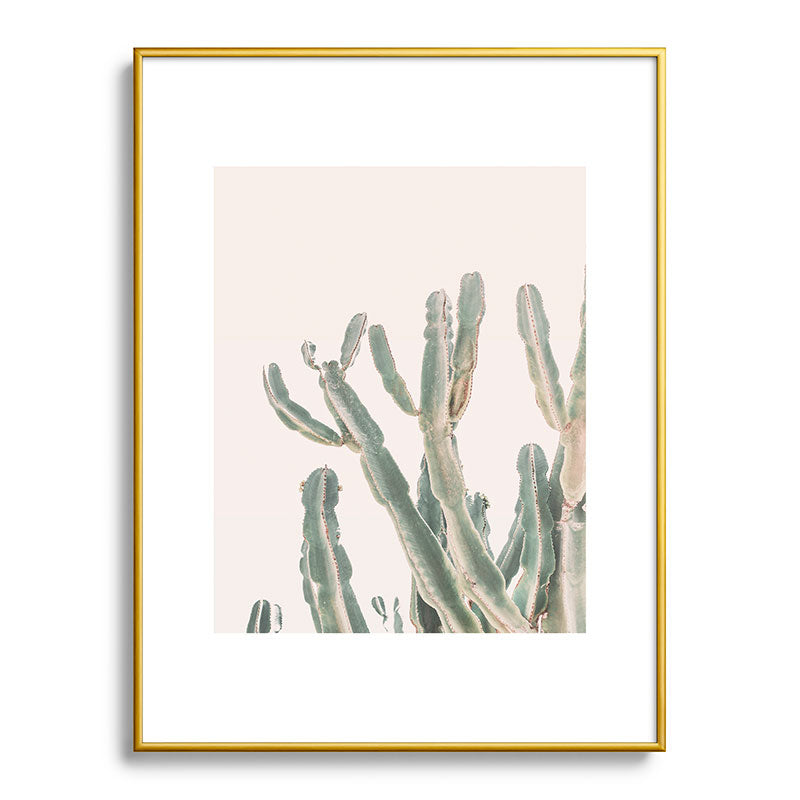 Sunrise Cactus Framed Art Print Gallery Image 91