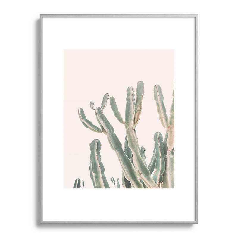 Sunrise Cactus Framed Art Print Gallery Image 98