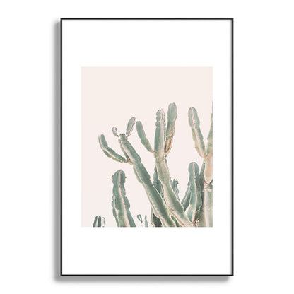 Sunrise Cactus Framed Art Print Gallery Image 86