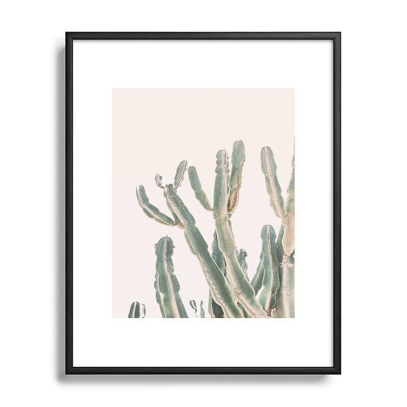 Sunrise Cactus Framed Art Print Gallery Image 82