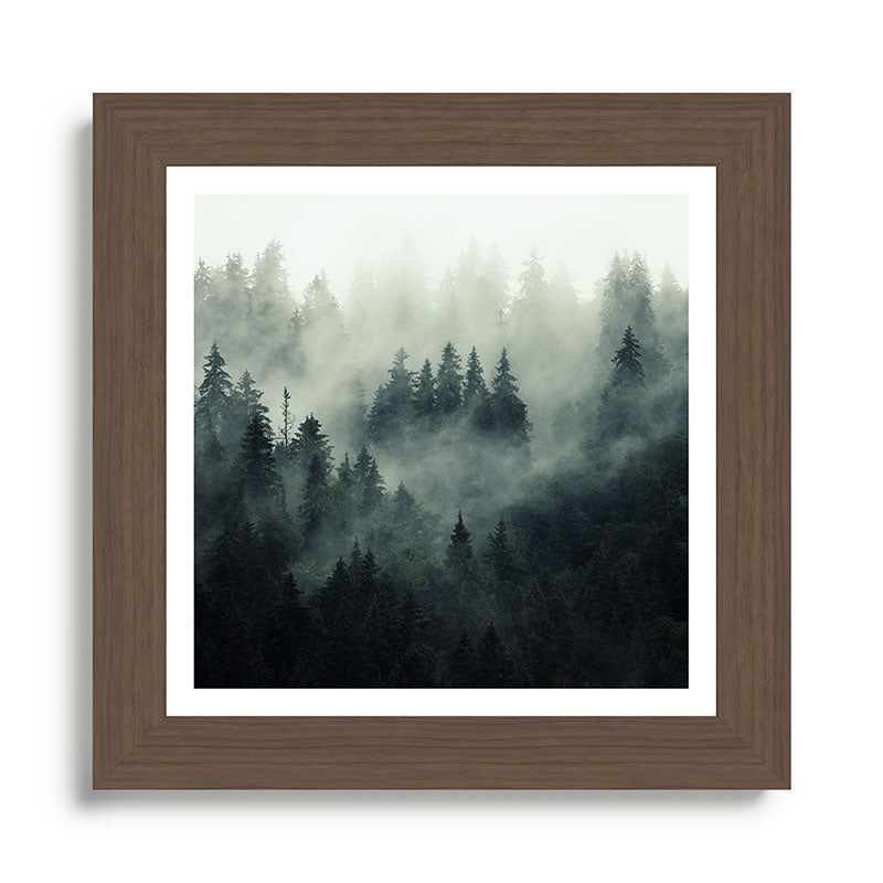 Green misty mountain pine forest in cloudy and rainy - vintage style photo Framed Art Print Gallery Image 57