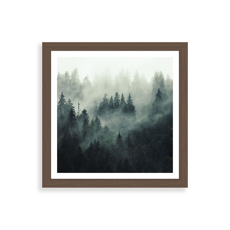 Green misty mountain pine forest in cloudy and rainy - vintage style photo Framed Art Print Gallery Image 60