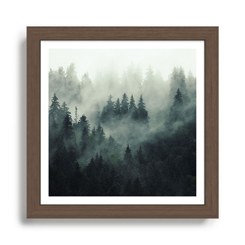 Green misty mountain pine forest in cloudy and rainy - vintage style photo Framed Art Print Gallery Image 13