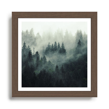 Green misty mountain pine forest in cloudy and rainy - vintage style photo Framed Art Print Gallery Image 13