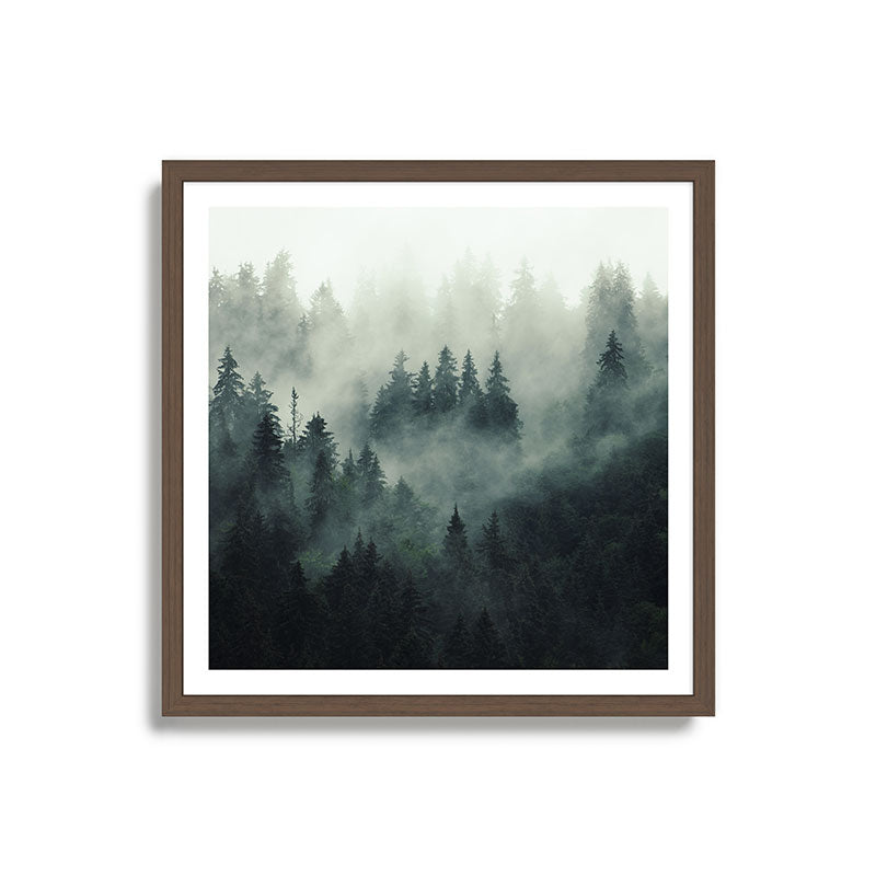 Green misty mountain pine forest in cloudy and rainy - vintage style photo Framed Art Print Gallery Image 17