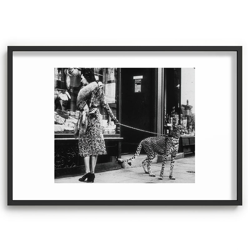 Leopard on a Leash, Black and White Vintage Art Framed Art Print Gallery Image 62