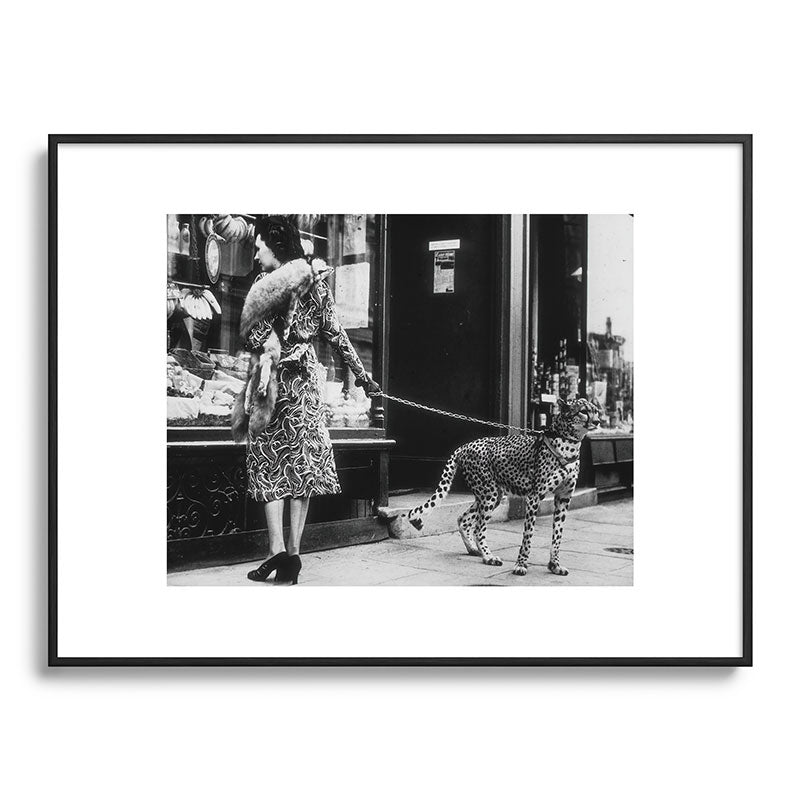 Leopard on a Leash, Black and White Vintage Art Framed Art Print Gallery Image 84