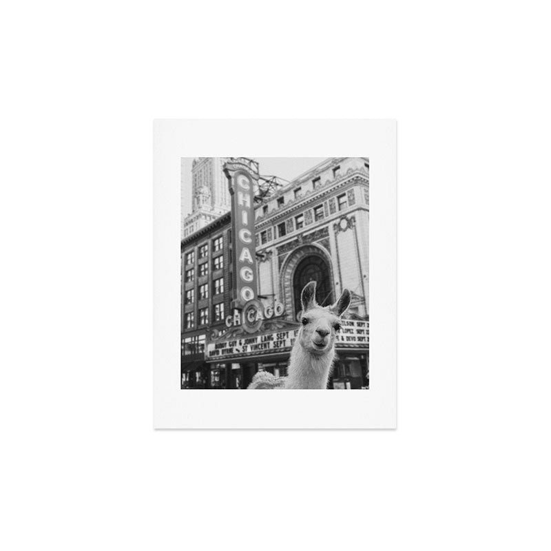 Chicago Llama Art Print Gallery Image 3